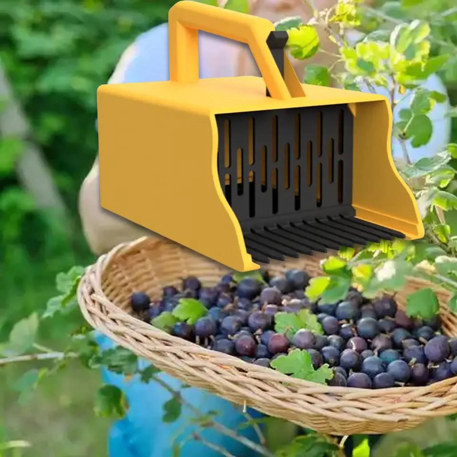 Lauko uogų rinkėjas mėlynėms, serbentams