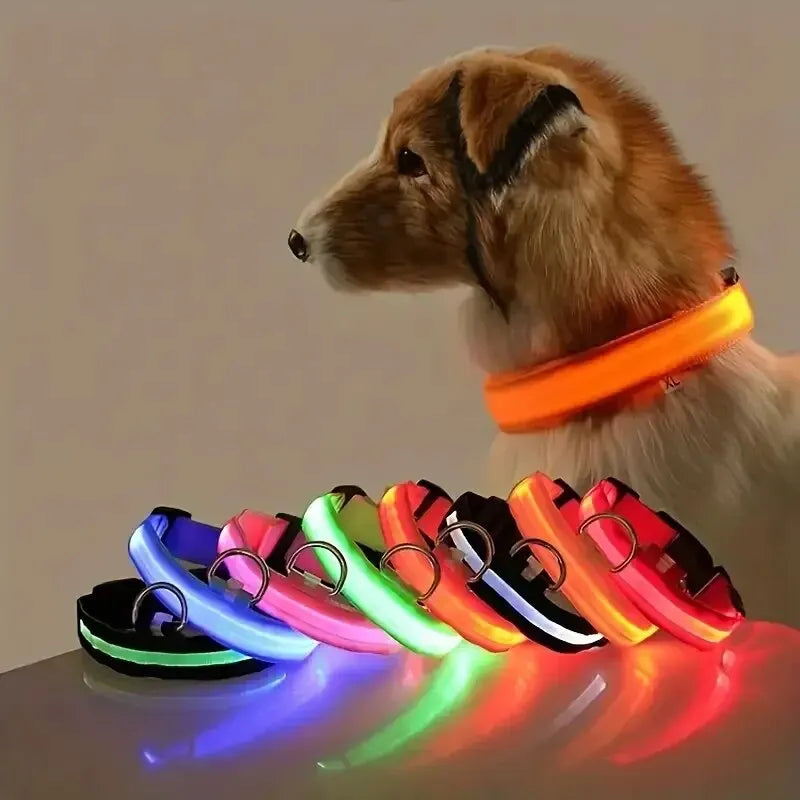 Nailono LED naktinis saugos šviečiantis tamsoje šunų antkaklis
