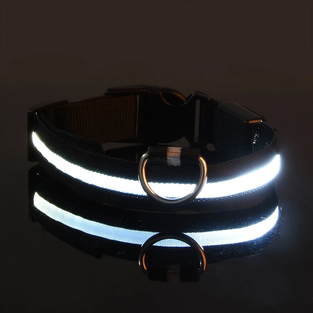 Nailono LED naktinis saugos šviečiantis tamsoje šunų antkaklis