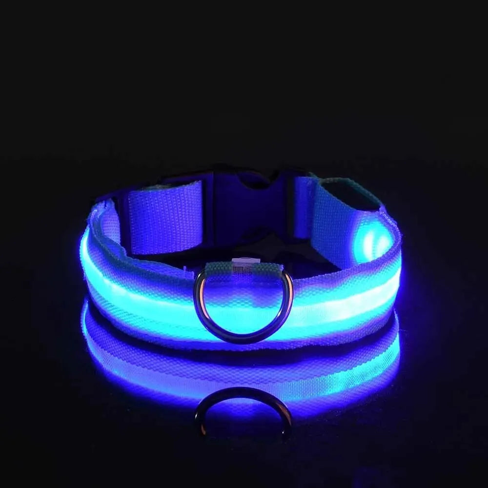 Nailono LED naktinis saugos šviečiantis tamsoje šunų antkaklis