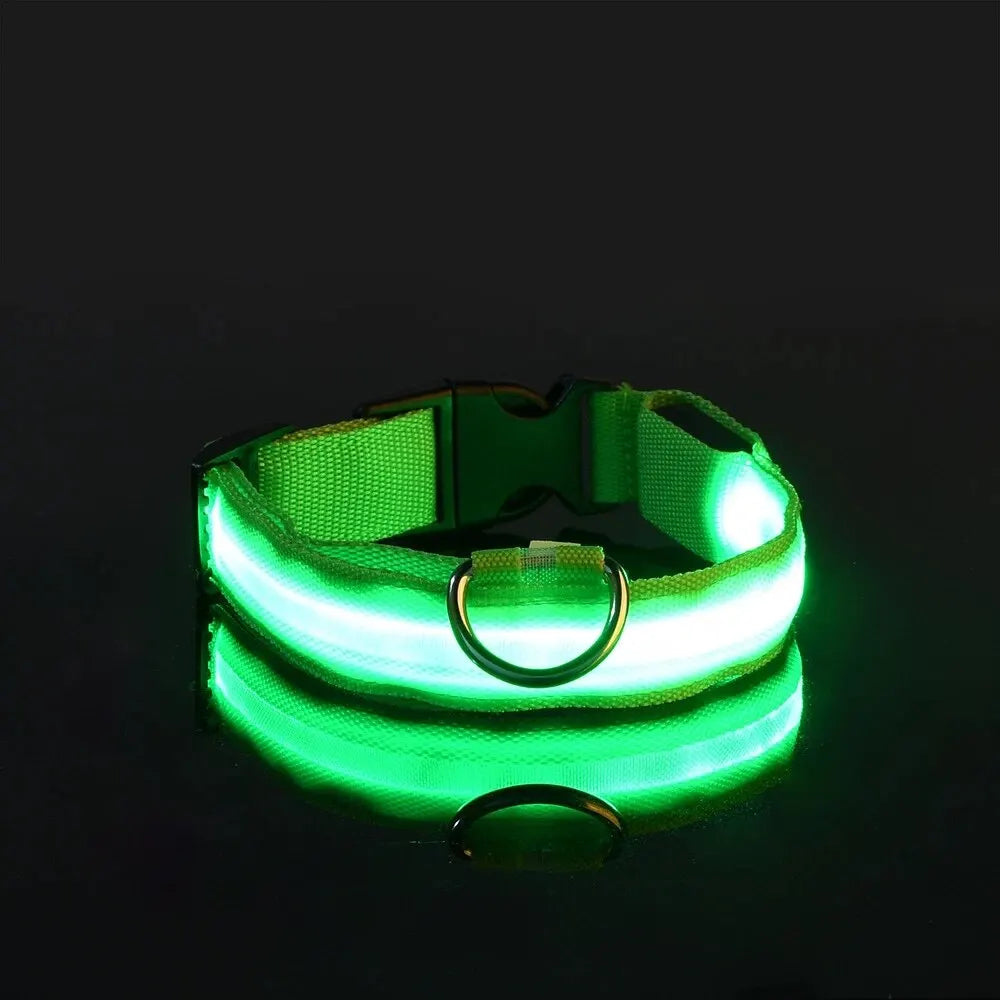 Nailono LED naktinis saugos šviečiantis tamsoje šunų antkaklis