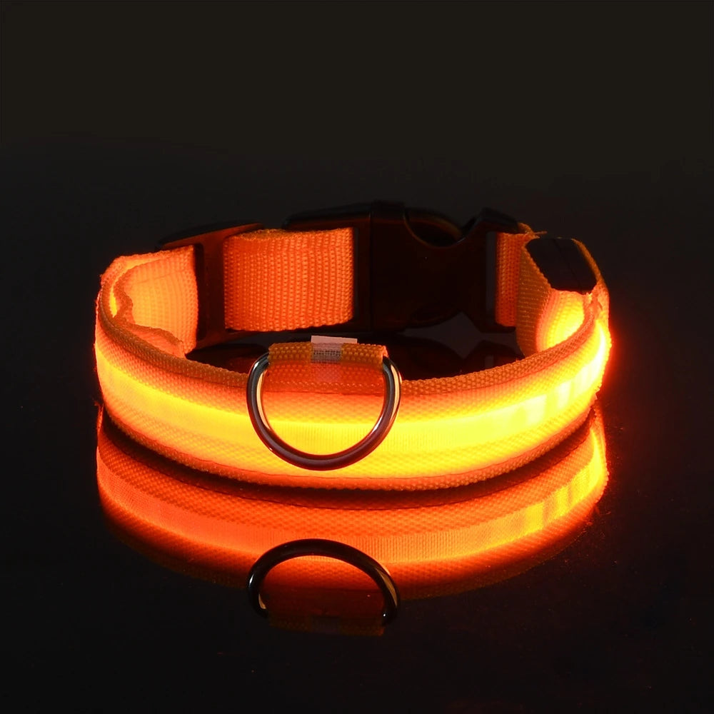 Nailono LED naktinis saugos šviečiantis tamsoje šunų antkaklis