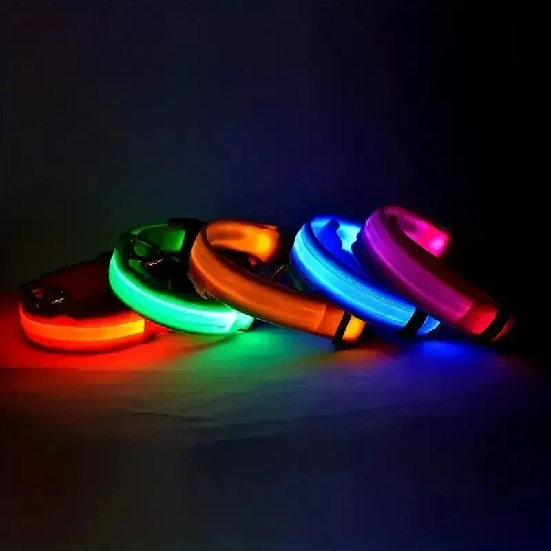 Nailono LED naktinis saugos šviečiantis tamsoje šunų antkaklis