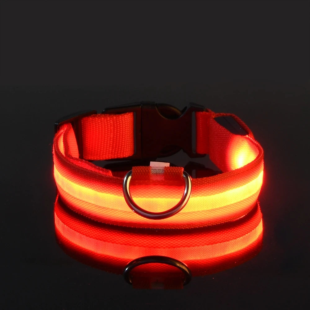 Nailono LED naktinis saugos šviečiantis tamsoje šunų antkaklis