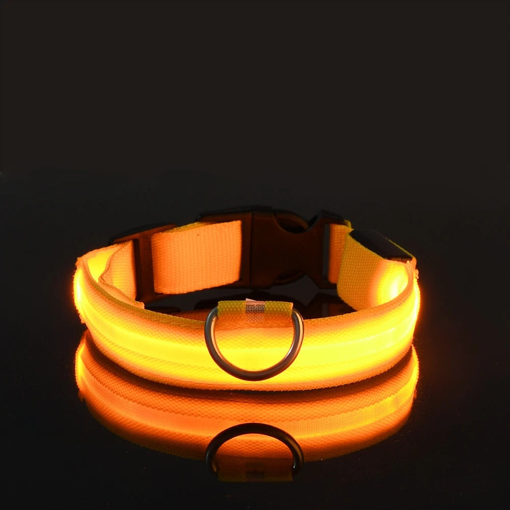 Nailono LED naktinis saugos šviečiantis tamsoje šunų antkaklis